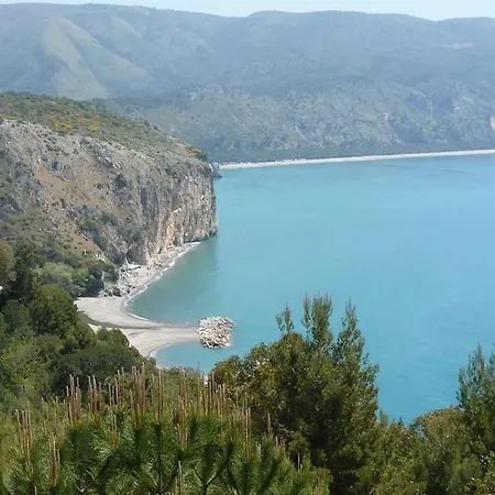 Fior D'arancio * Pisciotta