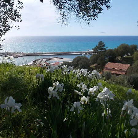 Fior D'arancio Pisciotta