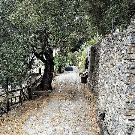 Fior D'arancio *