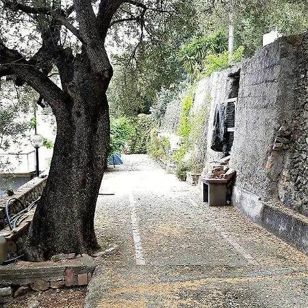 Fior D'arancio * Pisciotta