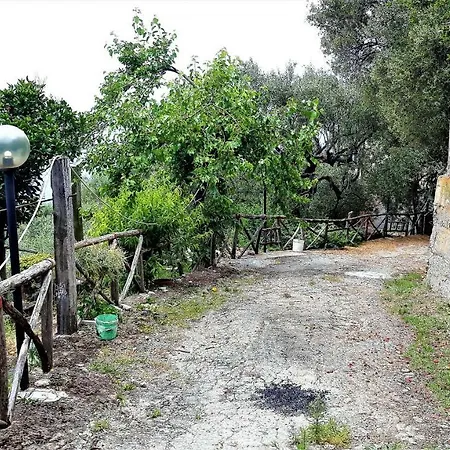 Fior D'arancio Villa Pisciotta