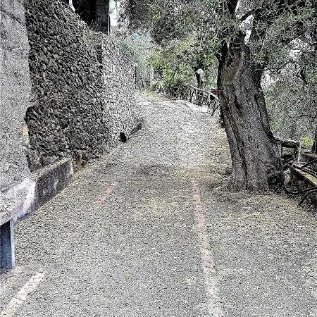 Fior D'arancio