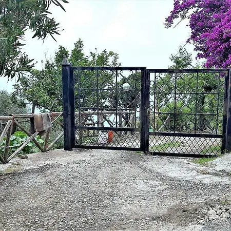 Fior D'arancio * Pisciotta